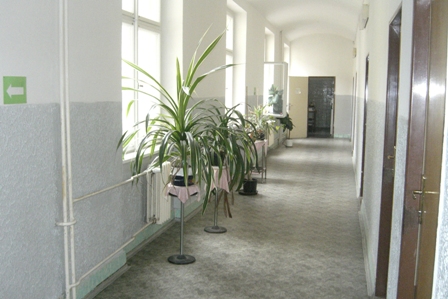 ALFA TOURIST SERVICE HOSTEL ARNOSTA