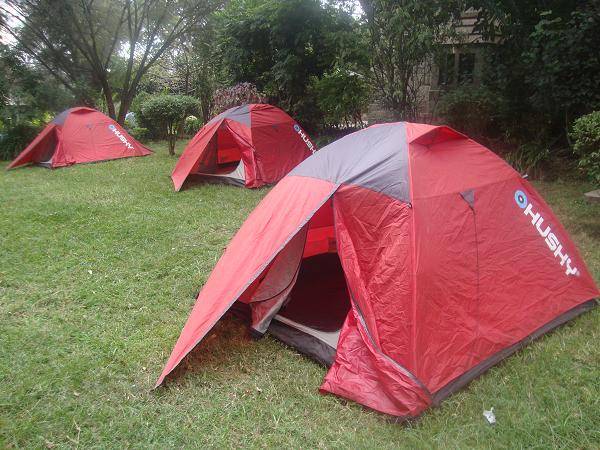 Hartebeest Camp and Guest House