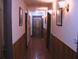 BLUE BIRD HOSTEL