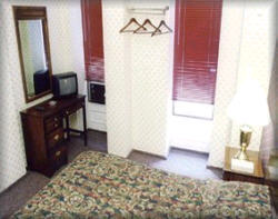 Hotel 31
