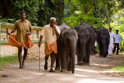 PONMALA HOME