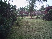 BACKPACKER EAST AFRICA