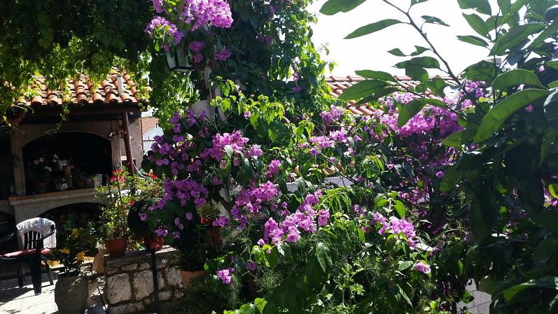 Guesthouse Ana