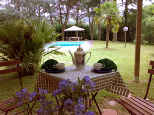 GATTO MATTO B&B