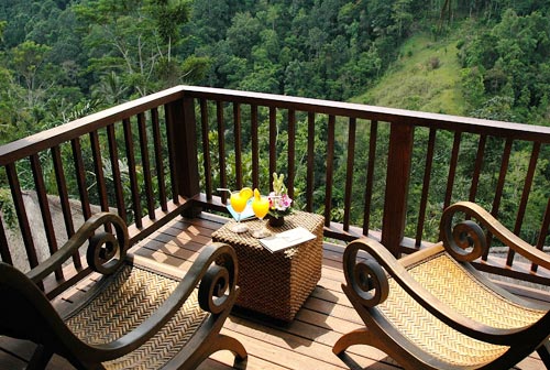 JUNGLE RESORT