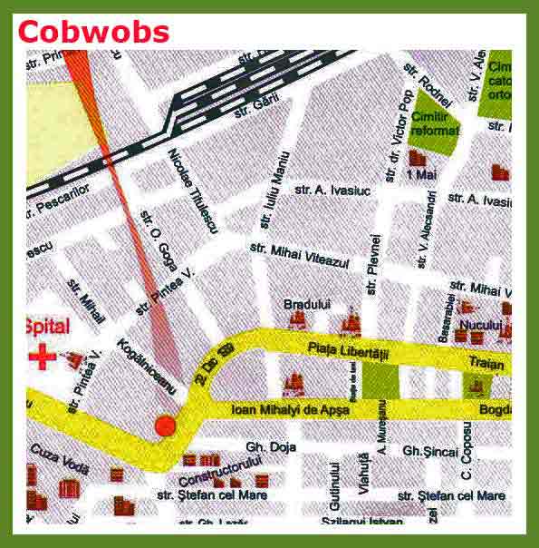 COBWOBS HOSTEL