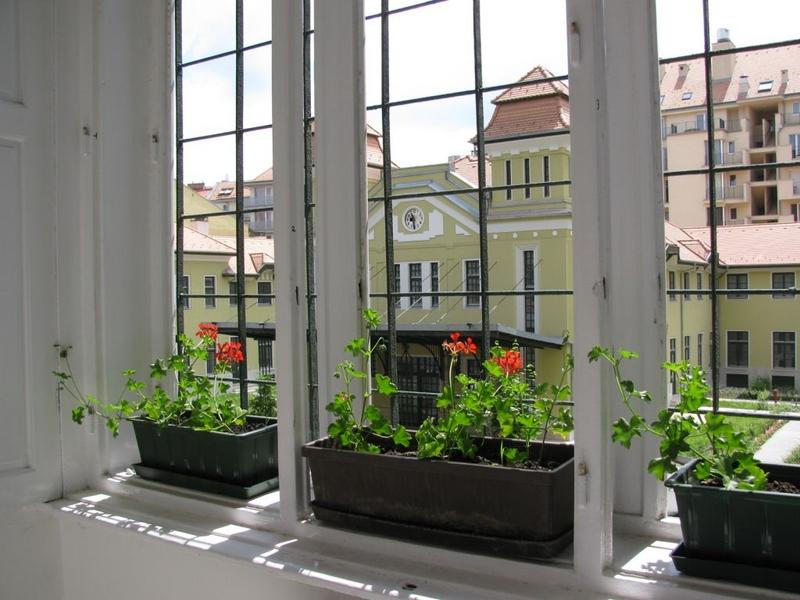 Budapest Budget Hostel